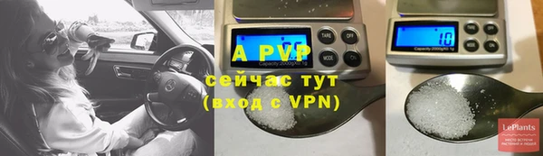хмурый Кукмор